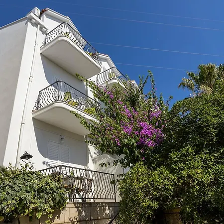 Bellevue Guest house
