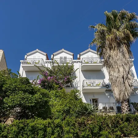 Bellevue Guest house